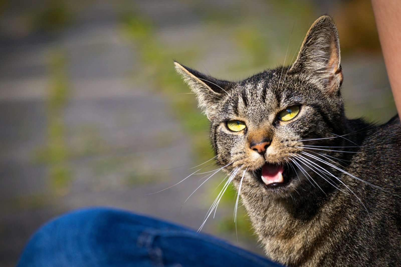 What Is Catcalling? – Women's Republic
